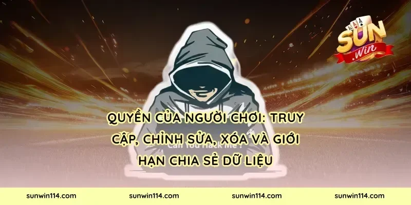 Quyền của người chơi: truy cập, chỉnh sửa, xóa và giới hạn chia sẻ dữ liệu
