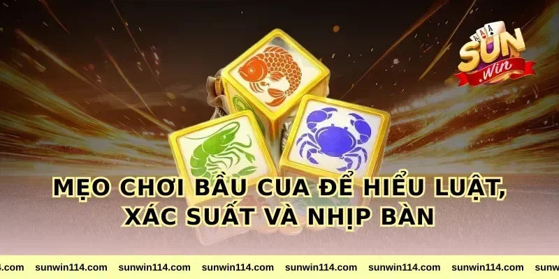 mẹo chơi bầu cua để hiểu luật, xác suất và nhịp bàn