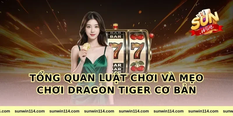 Tổng quan luật chơi và mẹo chơi dragon tiger cơ bản