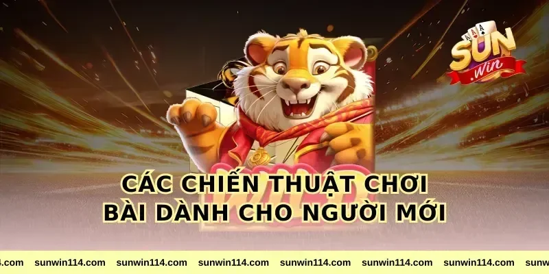 Các Chiến Thuật Chơi Bài Dành Cho Người Mới