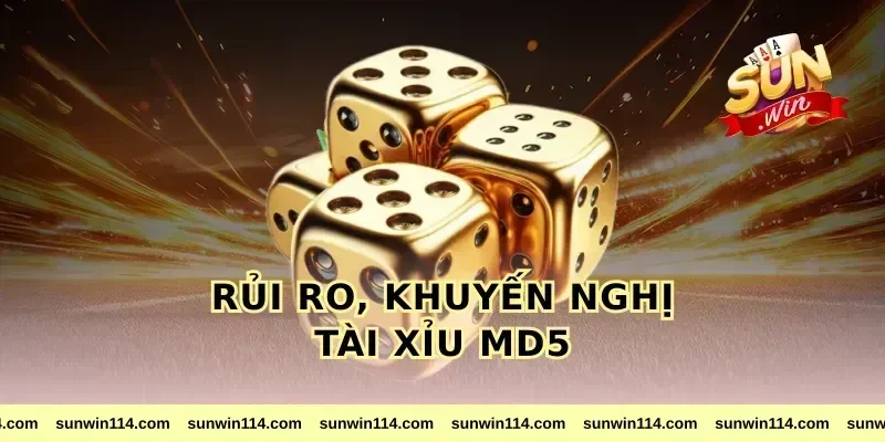 Rủi ro, khuyến nghị tài xỉu md5