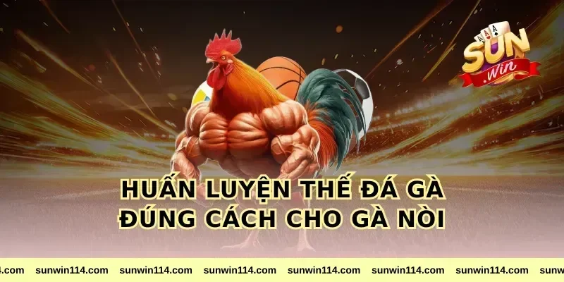 Huấn Luyện Thế Đá Gà Đúng Cách Cho Gà Nòi